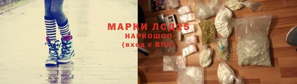 твердый Осинники