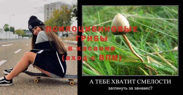 твердый Осинники