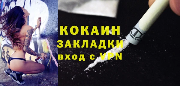 твердый Осинники