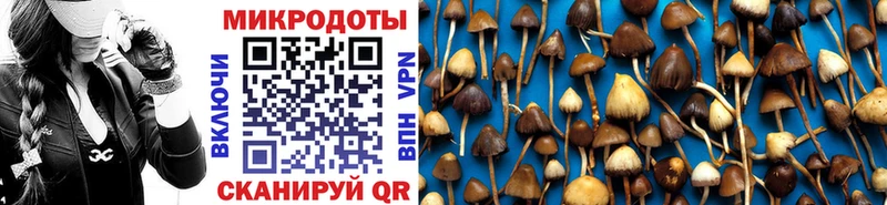 omg сайт  Вилюйск  Галлюциногенные грибы Psilocybine cubensis 